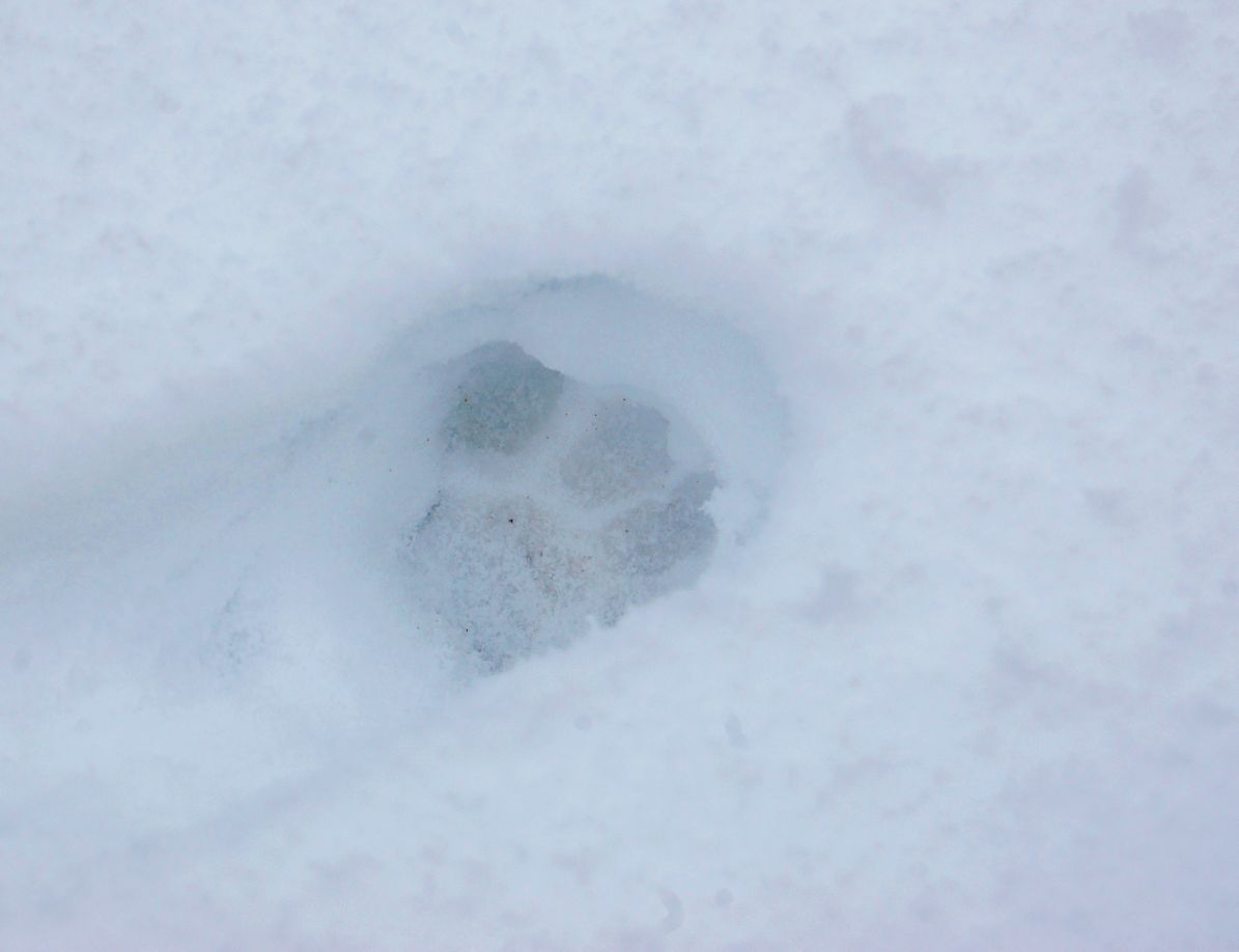 Snow